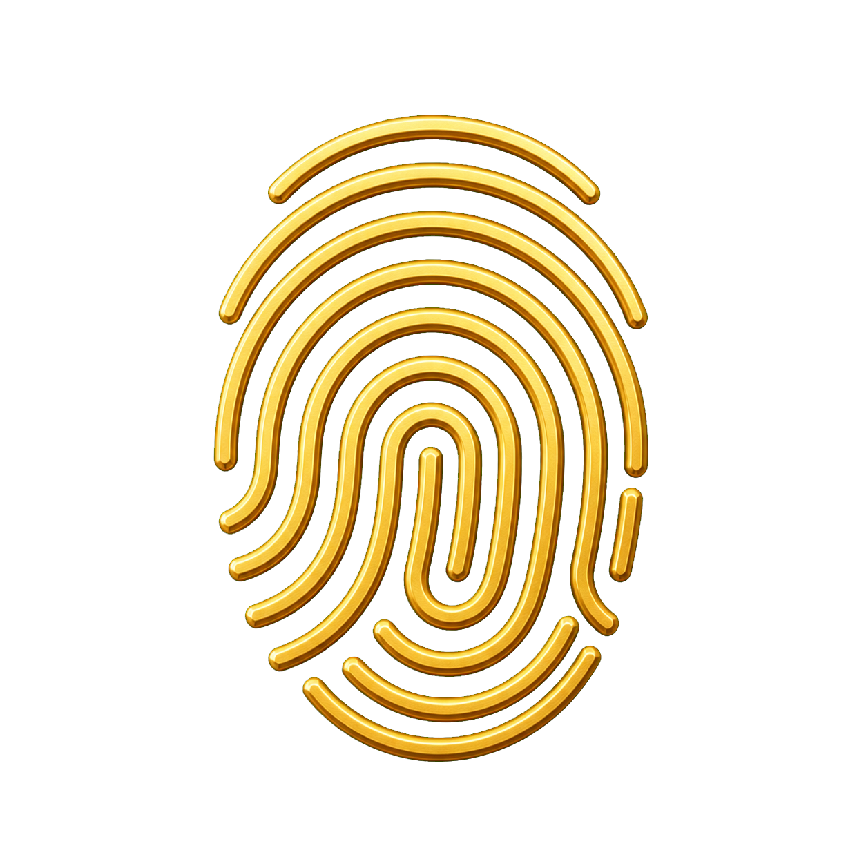 Imagem-do-Codex-9-de-ago-de-2026-15-03-12.png